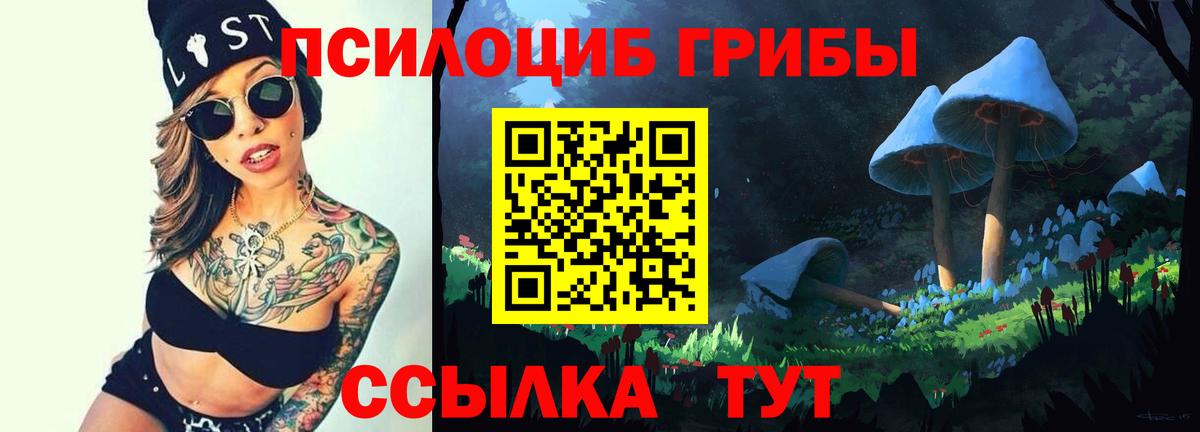 Псилоцибиновые грибы ЛСД Вязники